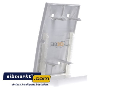 View on the right OBO Bettermann T8NL P01 7035 Cover plate for installation units 
