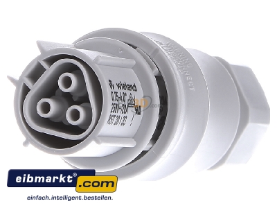 Front view Wieland RST20I3S B1 ZR2V GL Connector plug-in installation 3x4mm²
