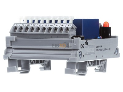 Front view WAGO 288-414 Switching relay AC 24V DC 24V 6A 
