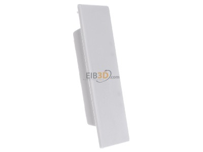 View on the left OBO WDK HE60110RW End cap for installation duct 110x60mm 

