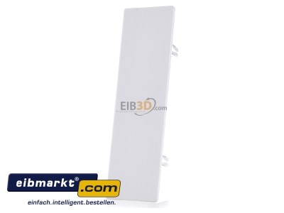 Front view OBO Bettermann WDK HE60210RW End cap for installation duct 210x60mm
