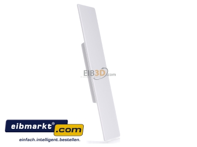 View on the left OBO Bettermann WDK HE60210RW End cap for installation duct 210x60mm
