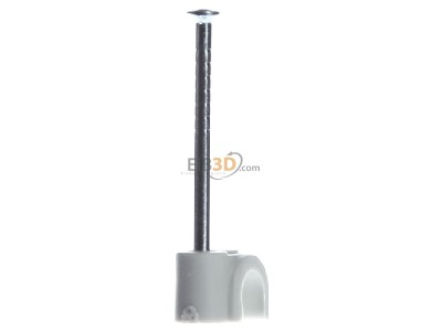 Ansicht hinten OBO 2006 35 LGR SP Iso-Nagel-Clip 6,0mm 