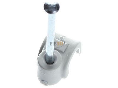 Ansicht oben hinten OBO 2006 35 LGR SP Iso-Nagel-Clip 6,0mm 