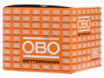 Ansicht hinten OBO 2016 40 LGR Iso-Nagel-Clip 16mm 
