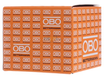 Ansicht rechts OBO 4031 10-14 ISO-Nagelschelle grau 