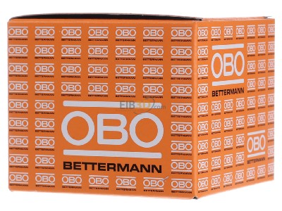 Ansicht hinten OBO 4031 10-14 ISO-Nagelschelle grau 