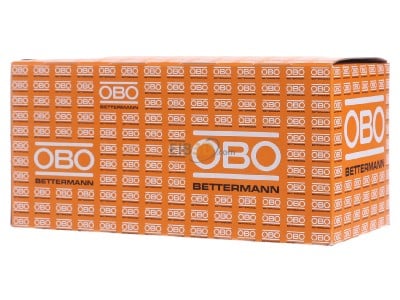 View on the right OBO 1996 50 Nail washer with nail 50mm 
