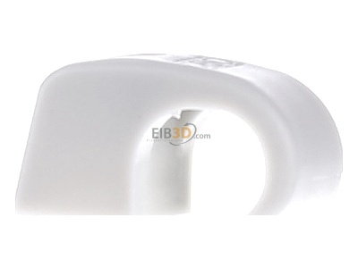 Back view OBO Bettermann Vertr 4040 SP Nail clip 7...12mm 
