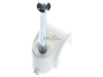 Ansicht oben hinten OBO 2007 35 RW Iso-Nagel-Clip 7,0mm 