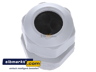 Top rear view Kaiser 1571.20.3.065 Cable screw gland M20
