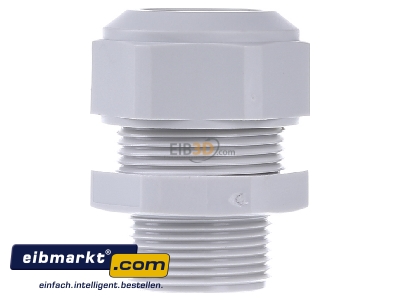 View on the right Kaiser 1571.25.2.100 Cable screw gland M25 - 
