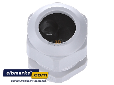View up front Kaiser 1571.25.2.100 Cable screw gland M25 - 
