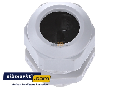 View top left Kaiser 1571.25.2.100 Cable screw gland M25 - 
