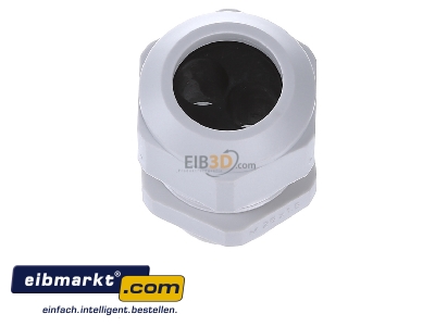 Top rear view Kaiser 1571.25.2.100 Cable screw gland M25 - 
