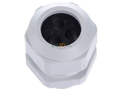 View top right Kaiser 1571.25.3.070 Cable gland / core connector M25 
