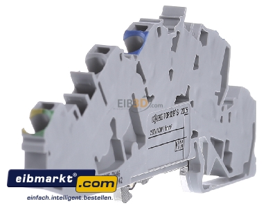 Ansicht rechts WAGO Kontakttechnik 2005-7646 Installations-Etagenklemme N/L/PE 4/6qmm grau 