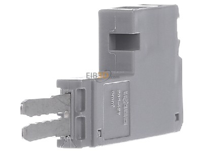 Ansicht links WAGO 285-427 Potenzialabgriff f.35qmm Klemmen grau 