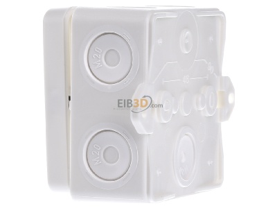 View on the right Spelsberg Abox 025 AB-L/w Surface mounted box 80x80mm 
