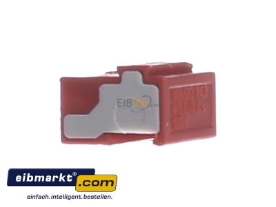 View on the right WAGO Kontakttechnik 243-804 Screw less terminal
