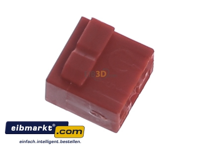 View top left WAGO Kontakttechnik 243-804 Screw less terminal
