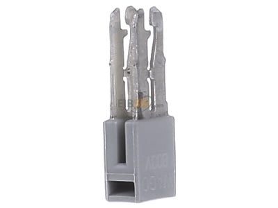 View on the left WAGO Kontakttechnik 280-402 Cross-connector for terminal block 2-p 
