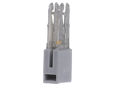 View on the right WAGO Kontakttechnik 280-402 Cross-connector for terminal block 2-p 
