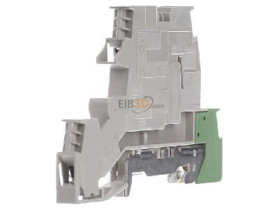 View on the right Wieland WKI 4 N-D-SL/V0 Installation terminal block 6mm 26A 3-p 
