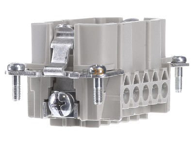 View on the right Wieland 70.310.1040.0 Pin insert for connector 10p 
