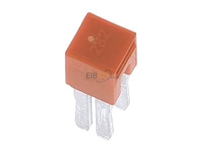 View top left WAGO 282-424 Cross-connector for terminal block 2-p 
