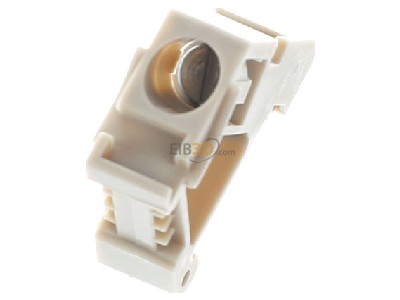 View top right Weidm�ller EW 15 End bracket for terminal block screwable 
