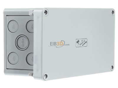 View on the left Spelsberg RK 4/18 K-18x4 Surface mounted terminal box 
