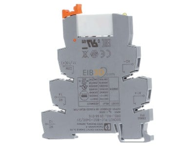 Front view Phoenix PLC-RSC- 24DC/21 Switching relay DC 24V 6A 
