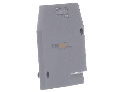 Ansicht links ABB 1SNA118368R1600 Abschluplatte 