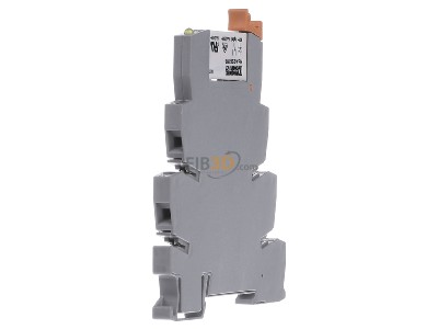View on the right Phoenix PLC-RSC-230UC/21 Switching relay AC 230V 6A 
