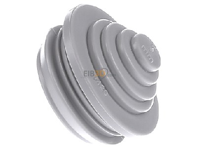 View on the left Hensel STM 20 Knock-out plug 20mm 
