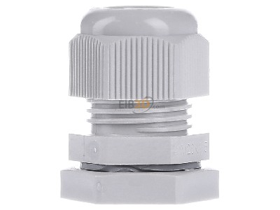View on the right Hensel AKM 20 Cable gland / core connector M20 
