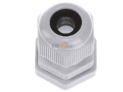View up front Hensel AKM 20 Cable gland / core connector M20 
