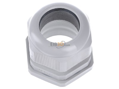 View up front Hensel AKM 50 Cable gland / core connector M50 
