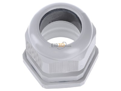 View top left Hensel AKM 50 Cable gland / core connector M50 
