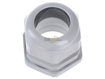 Top rear view Hensel AKM 50 Cable gland / core connector M50 
