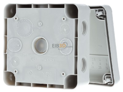 Back view OBO B 9 T M Surface mounted box 110x50mm 
