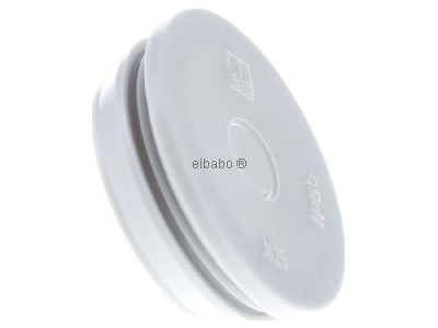 View on the left Spelsberg VST M25 Threaded plug M25 

