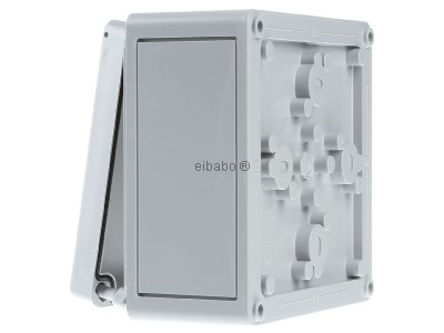 View on the right Spelsberg TK PS 1313-7-o Switchgear cabinet 75x130x130mm IP66 
