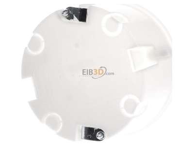 Ansicht hinten Kaiser 9061-77 Hohlwanddose halogenfrei 
