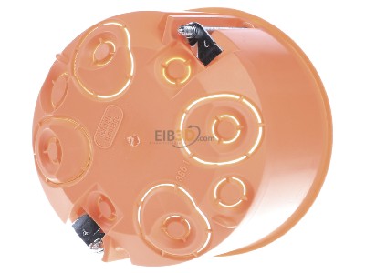 Ansicht hinten Kaiser 9067-01 Hohlwanddose f.Perilex-Einstze 