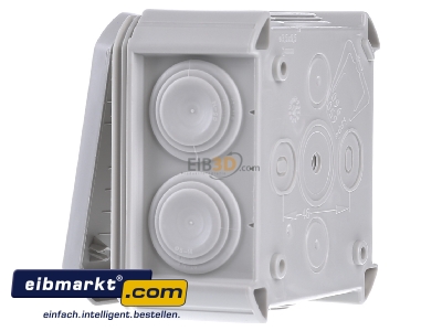 View on the right OBO Bettermann T 40 Surface mounted box 90x90mm
