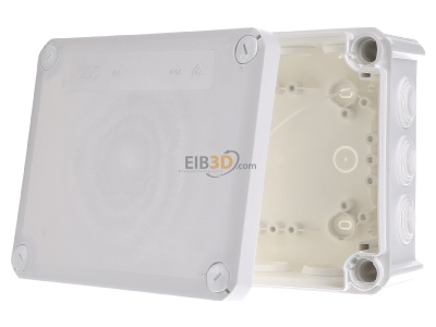 Front view OBO T 160 RW Surface mounted box 190x150mm 
