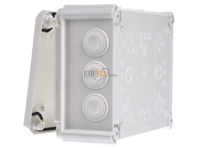 View on the right OBO T 160 RW Surface mounted box 190x150mm 
