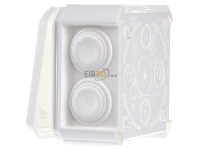 View on the right OBO T 40 RW Surface mounted box 90x90mm 

